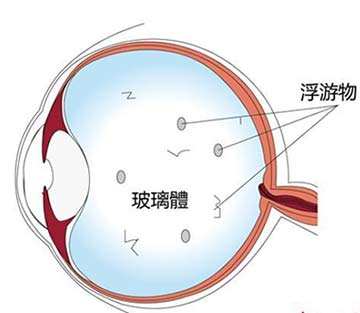http://a4.att.hudong.com/62/28/20300542460109149517281343740.jpg